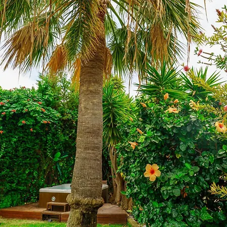 In Puerto Banus Feriehus