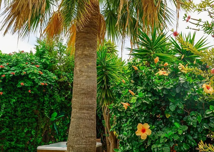 In Puerto Banus Prázdninový dům